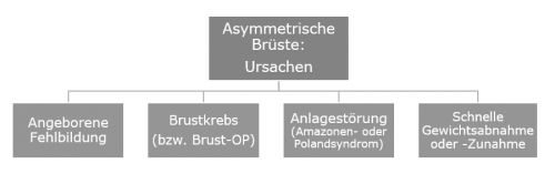 Ursachen für asymmetrische Brüste | Brustkorrektur in Hannover